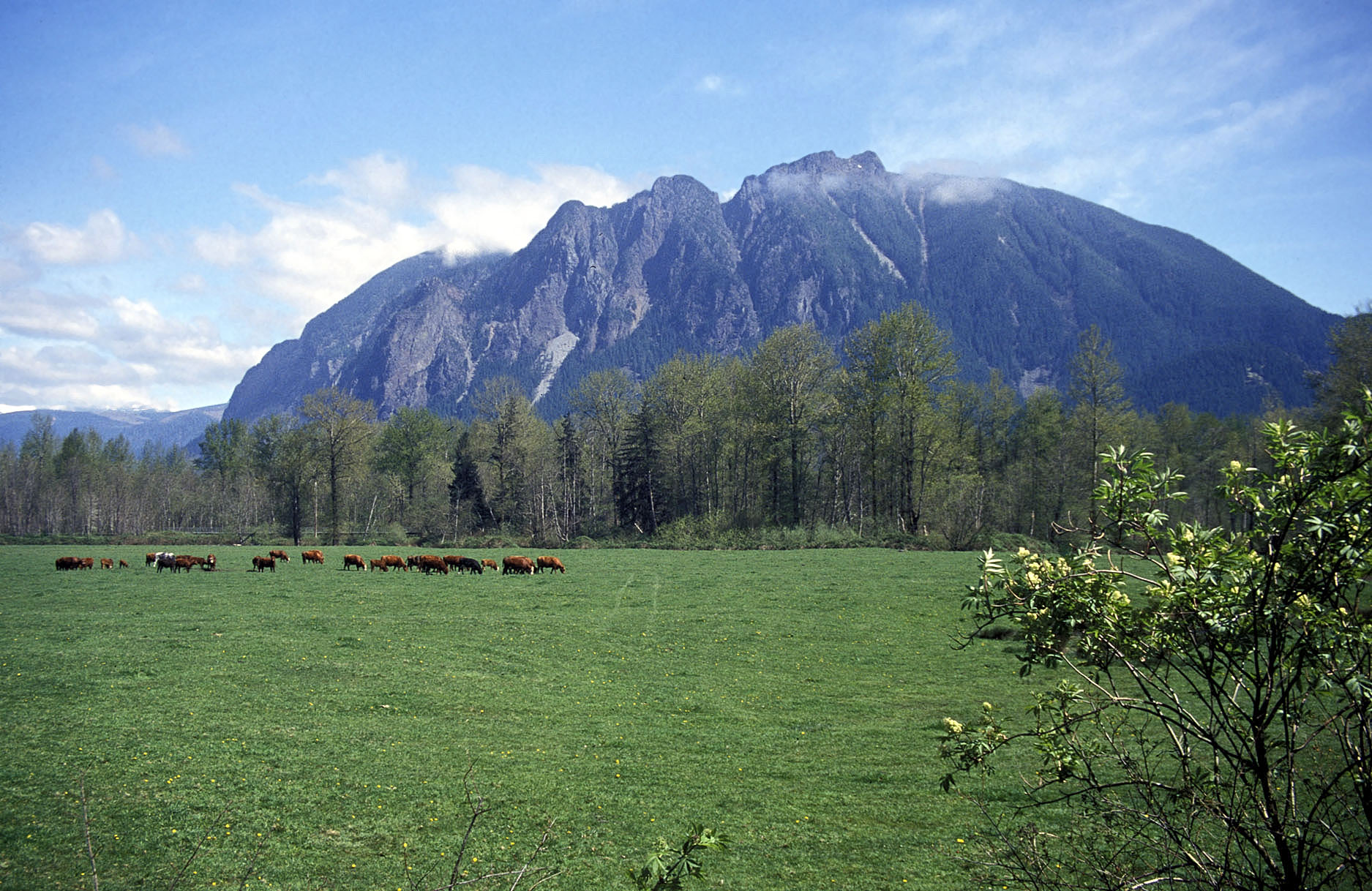 Mount Si rising above the Snoqualmie Valley, Washington
